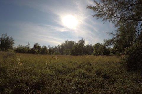 Terrain à Phang Nga, Thaïlande 36800 m2 № 158585 - photo 7