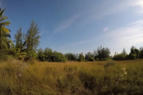 Terrain à Phang Nga, Thaïlande 36800 m2 № 158585 - photo 6