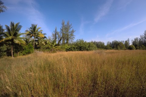 Terrain à Phang Nga, Thaïlande 36800 m2 № 158585 - photo 3