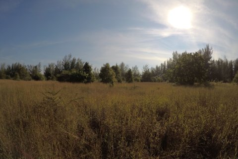 Terrain à Phang Nga, Thaïlande 36800 m2 № 158585 - photo 5