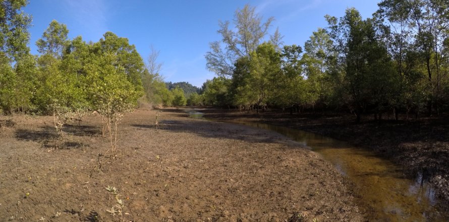 Terrain à Phang Nga, Thaïlande 36800 m2 № 158585