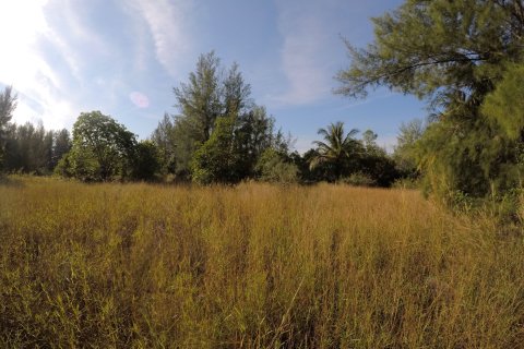 Terrain à Phang Nga, Thaïlande 36800 m2 № 158585 - photo 4