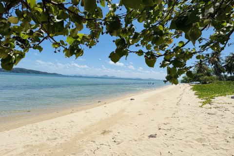 Земельный участок в Самуи, Таиланд 18400м2  № 155906 - фото 12