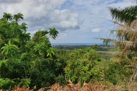 Земельный участок в Май Кхао, Таиланд 8000м2  № 156091 - фото 4