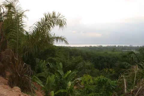 Земельный участок в Май Кхао, Таиланд 8000м2  № 156091 - фото 7