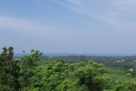 Земельный участок в Май Кхао, Таиланд 8000м2  № 156091 - фото 20