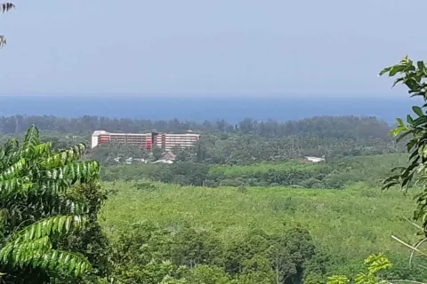 Земельный участок в Май Кхао, Таиланд 8000м2  № 156091 - фото 2