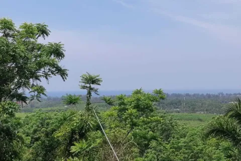 Земельный участок в Май Кхао, Таиланд 8000м2  № 156091 - фото 18