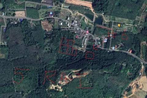 Земельный участок в Май Кхао, Таиланд 8000м2  № 156091 - фото 13