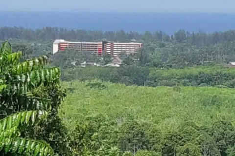 Земельный участок в Май Кхао, Таиланд 8000м2  № 156091 - фото 22