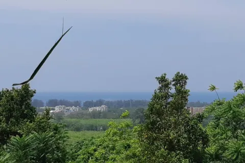 Земельный участок в Май Кхао, Таиланд 8000м2  № 156091 - фото 1