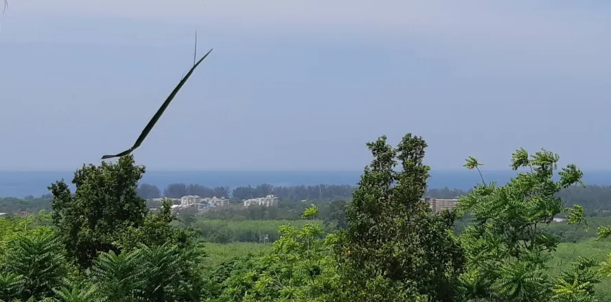 Земельный участок в Май Кхао, Таиланд 8000м2  № 156091