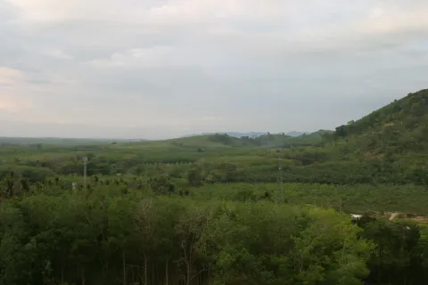 Земельный участок в Май Кхао, Таиланд 8000м2  № 156091 - фото 8