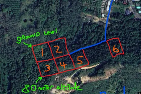 Земельный участок в Май Кхао, Таиланд 8000м2  № 156091 - фото 12