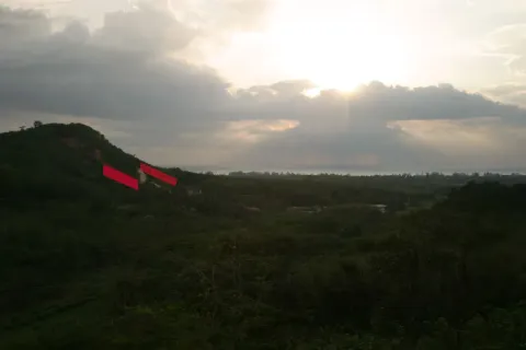 Земельный участок в Май Кхао, Таиланд 8000м2  № 156091 - фото 9