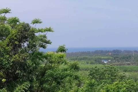 Земельный участок в Май Кхао, Таиланд 8000м2  № 156091 - фото 17