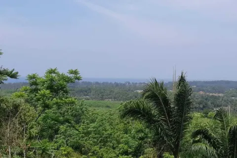 Земельный участок в Май Кхао, Таиланд 8000м2  № 156091 - фото 19