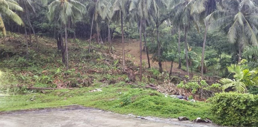 Terrain à Phuket, Thaïlande 3720 m2 № 142296
