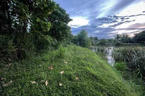 Земельный участок в Паттайе, Таиланд 5312.8м2  № 144724 - фото 3