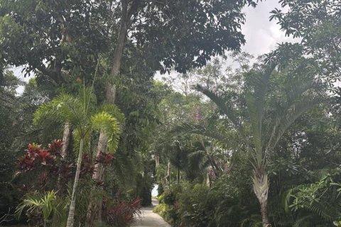 Вилла в Сураттхани, Таиланд с 2 спальнями  № 157353 - фото 2