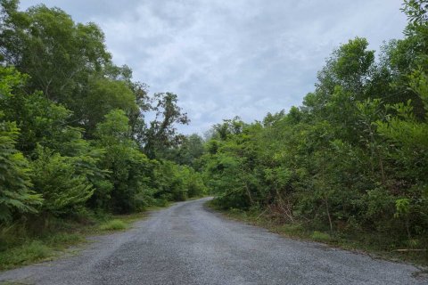 Land in Mai Khao, Thailand 92800 sq.m. № 136286 - photo 8