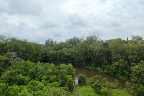 Land in Mai Khao, Thailand 92800 sq.m. № 136286 - photo 3