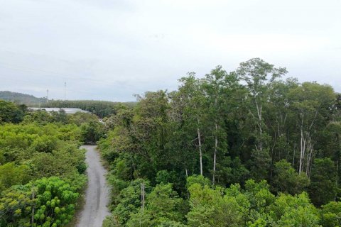 Land in Mai Khao, Thailand 92800 sq.m. № 136286 - photo 5