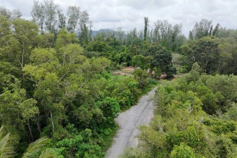 Land in Mai Khao, Thailand 92800 sq.m. № 136286 - photo 25