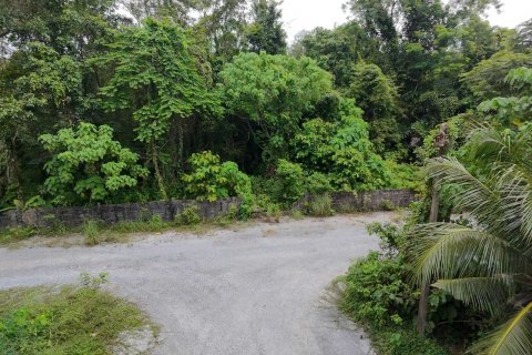 Land in Mai Khao, Thailand 92800 sq.m. № 136286 - photo 16