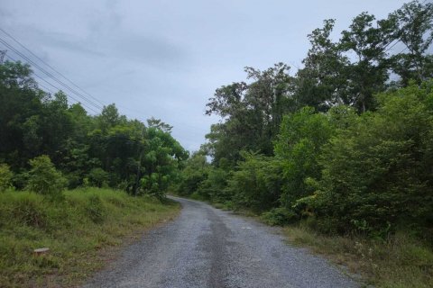 Land in Mai Khao, Thailand 92800 sq.m. № 136286 - photo 20