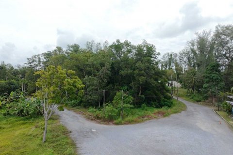 Land in Mai Khao, Thailand 92800 sq.m. № 136286 - photo 11