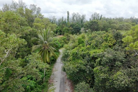 Land in Mai Khao, Thailand 92800 sq.m. № 136286 - photo 23