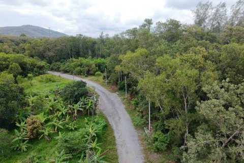 Land in Mai Khao, Thailand 92800 sq.m. № 136286 - photo 12