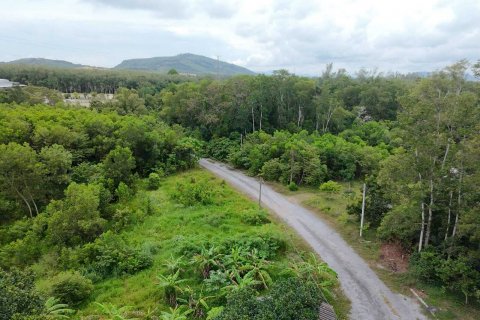 Land in Mai Khao, Thailand 92800 sq.m. № 136286 - photo 10