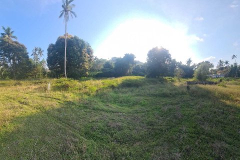Земельный участок в Самуи, Таиланд 1653м2  № 141065 - фото 1