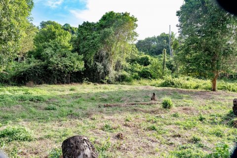 Земельный участок в Самуи, Таиланд 1653м2  № 141065 - фото 11