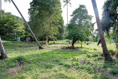 Земельный участок в Самуи, Таиланд 1653м2  № 141065 - фото 12