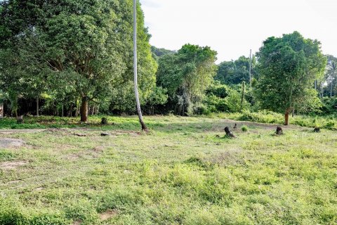 Земельный участок в Самуи, Таиланд 1653м2  № 141065 - фото 3