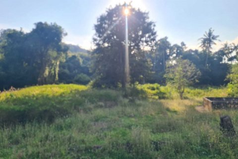 Земельный участок в Самуи, Таиланд 1653м2  № 141065 - фото 5