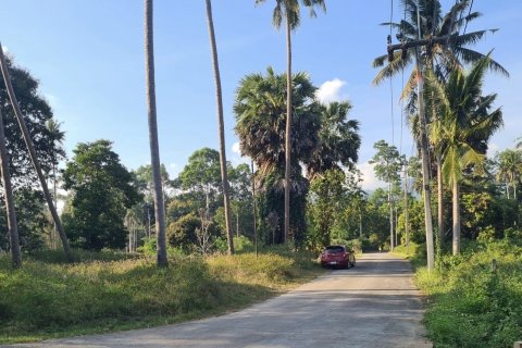 Земельный участок в Самуи, Таиланд 1653м2  № 141065 - фото 8