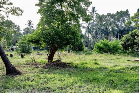 Земельный участок в Самуи, Таиланд 1653м2  № 141065 - фото 9