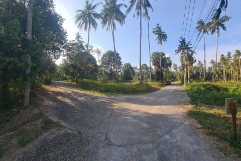 Земельный участок в Самуи, Таиланд 1653м2  № 141065 - фото 10