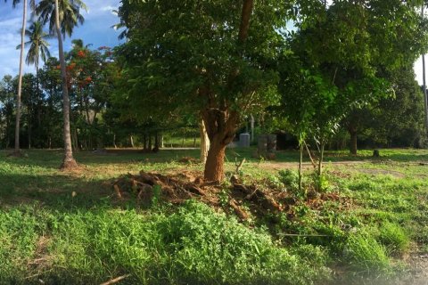 Земельный участок в Самуи, Таиланд 1653м2  № 141065 - фото 2