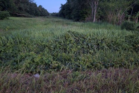 Земельный участок в Паклоке, Таиланд 13600м2  № 147210 - фото 5