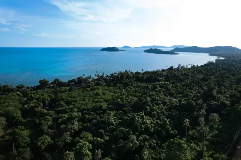 Вилла в Куте, Таиланд с 4 спальнями № 169372 - фото 7