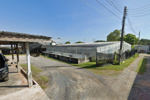 Земельный участок в Пхукете, Таиланд 3200м2  № 147261 - фото 3