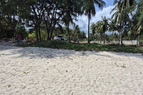 Terrain à Ko Samui, Thaïlande 12996 m2 № 147263 - photo 15