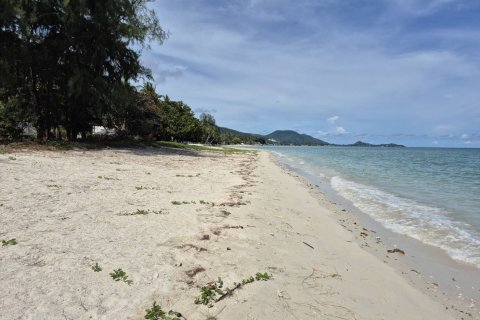 Terrain à Ko Samui, Thaïlande 12996 m2 № 147263 - photo 13