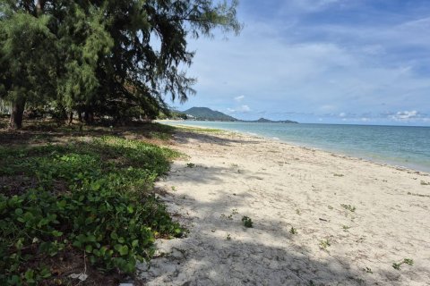 Terrain à Ko Samui, Thaïlande 12996 m2 № 147263 - photo 11