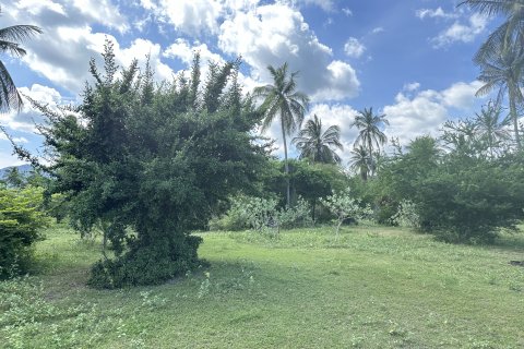 Земельный участок в Хуа Хине, Таиланд 1600м2 № 169497 - фото 13